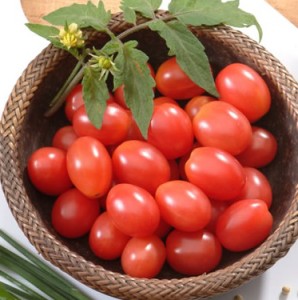 tomate cereja